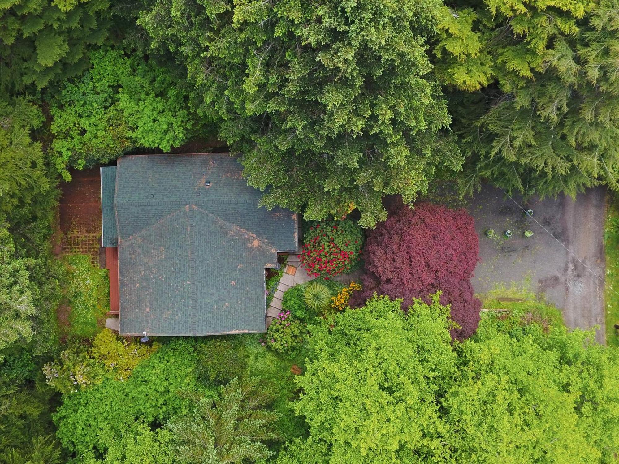 Woods Waves: Luxury Coast Cabin King Beds Pets Tillamook Exteriör bild